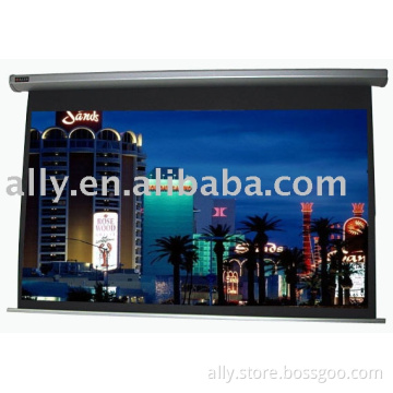 Top Grade Motorized Screen(Glass Beaded ) With Remote